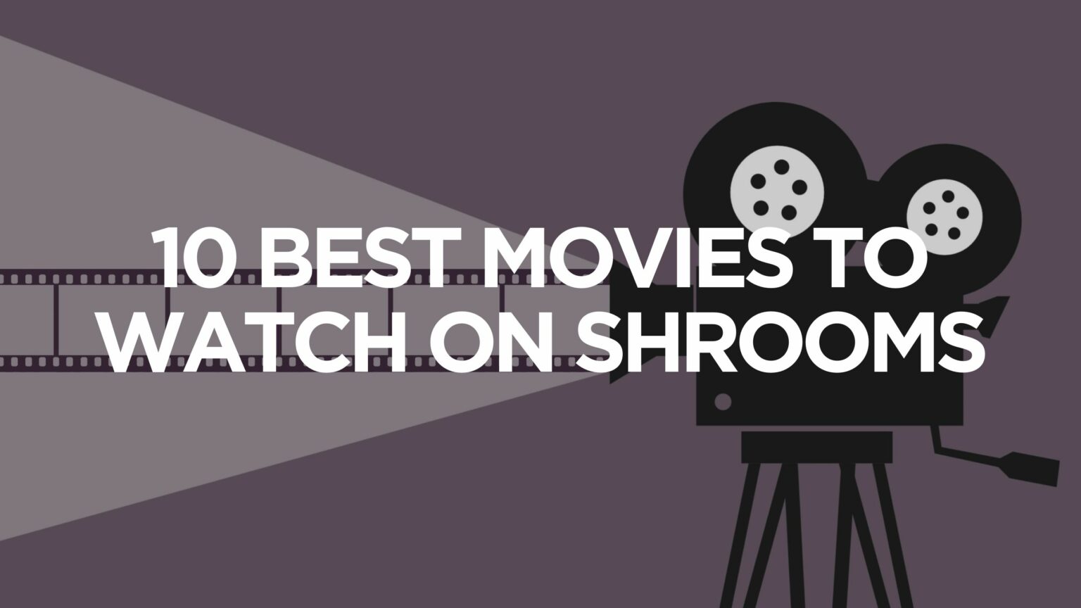 Best Movies To Watch While Tripping On Mushrooms 10 Best Movies to Watch on Shrooms - Moonrock Canada