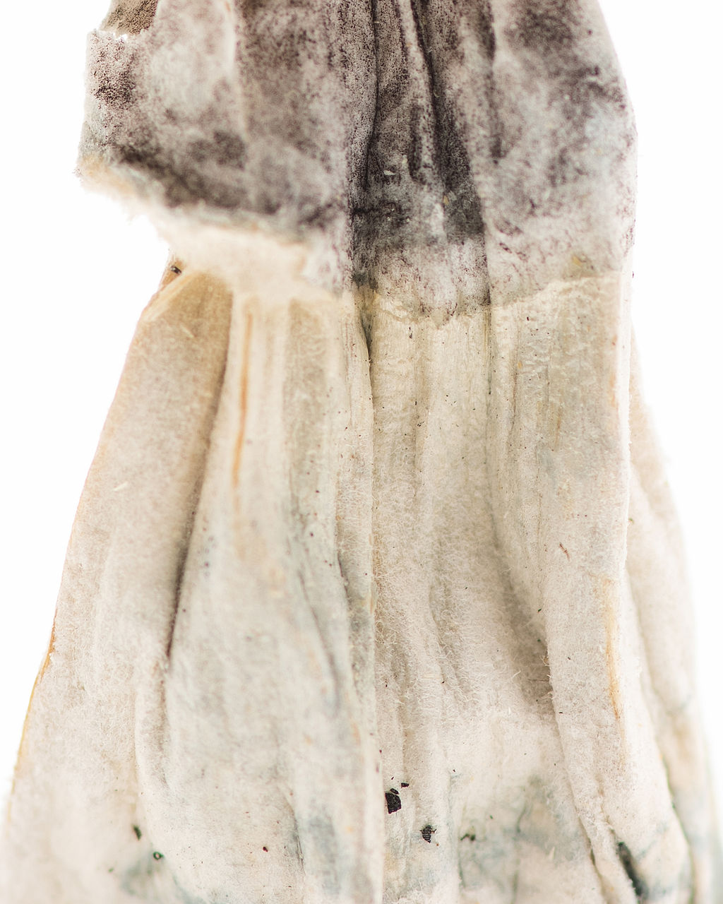 origin-goldenteacher-3-4