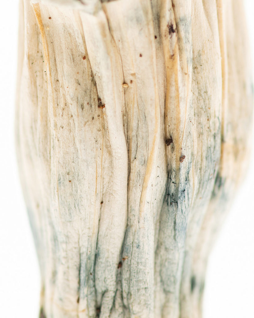 Origin-WhiteJediMindFuck4-920x1150-1-819x1024-1-3