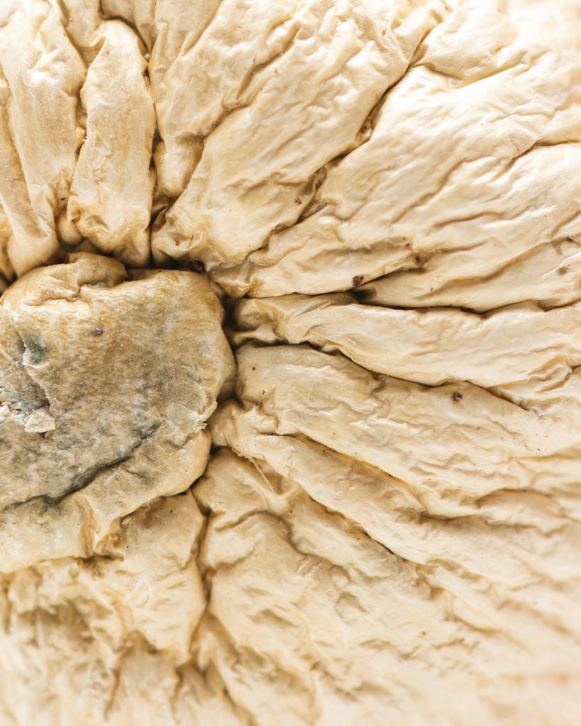 Origin-WhiteJediMindFuck5-819x1024-1-3