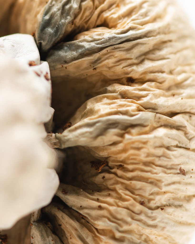 Origin-WhiteJediMindFuck6-920x1150-1-819x1024-1-3