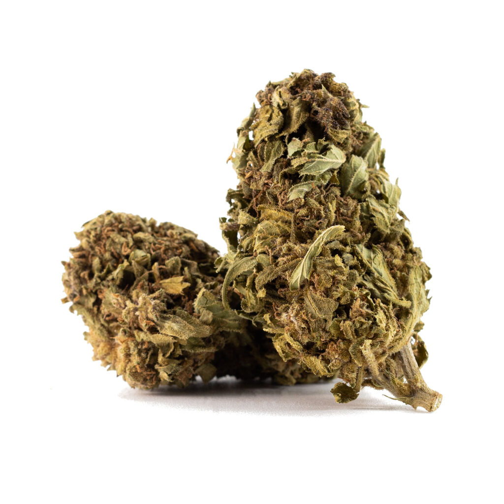 snow-cap-buds-2