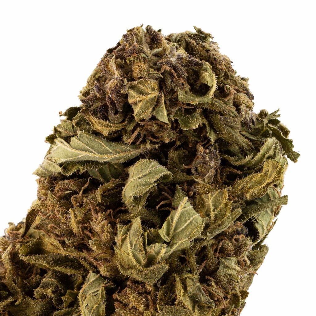 snow-cap-closeup-2