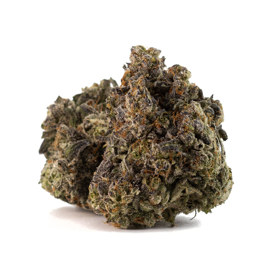 mint-chocolate-chip-08-22-23-buds