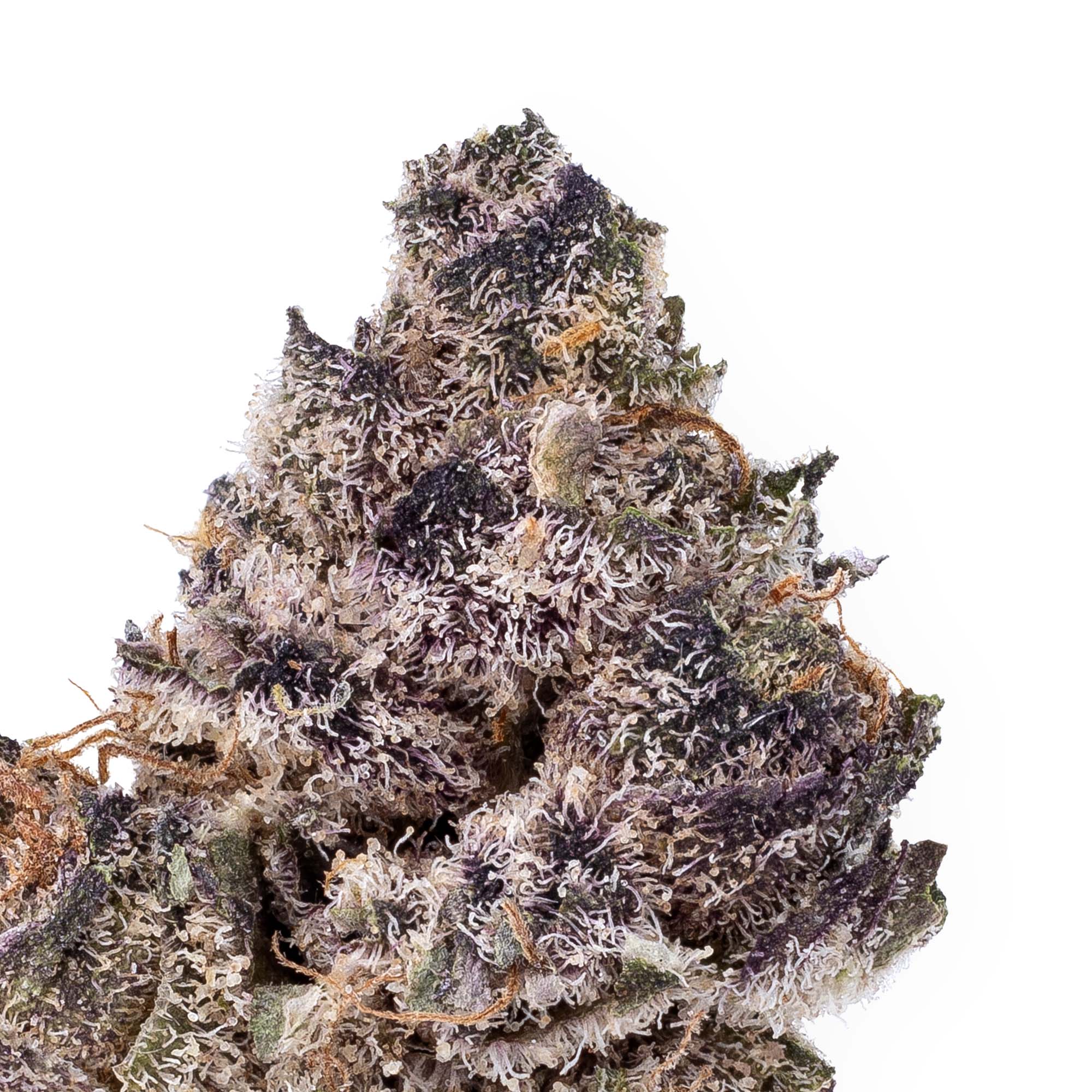 ice-cream-cake-smalls-09-11-25-closeup-1