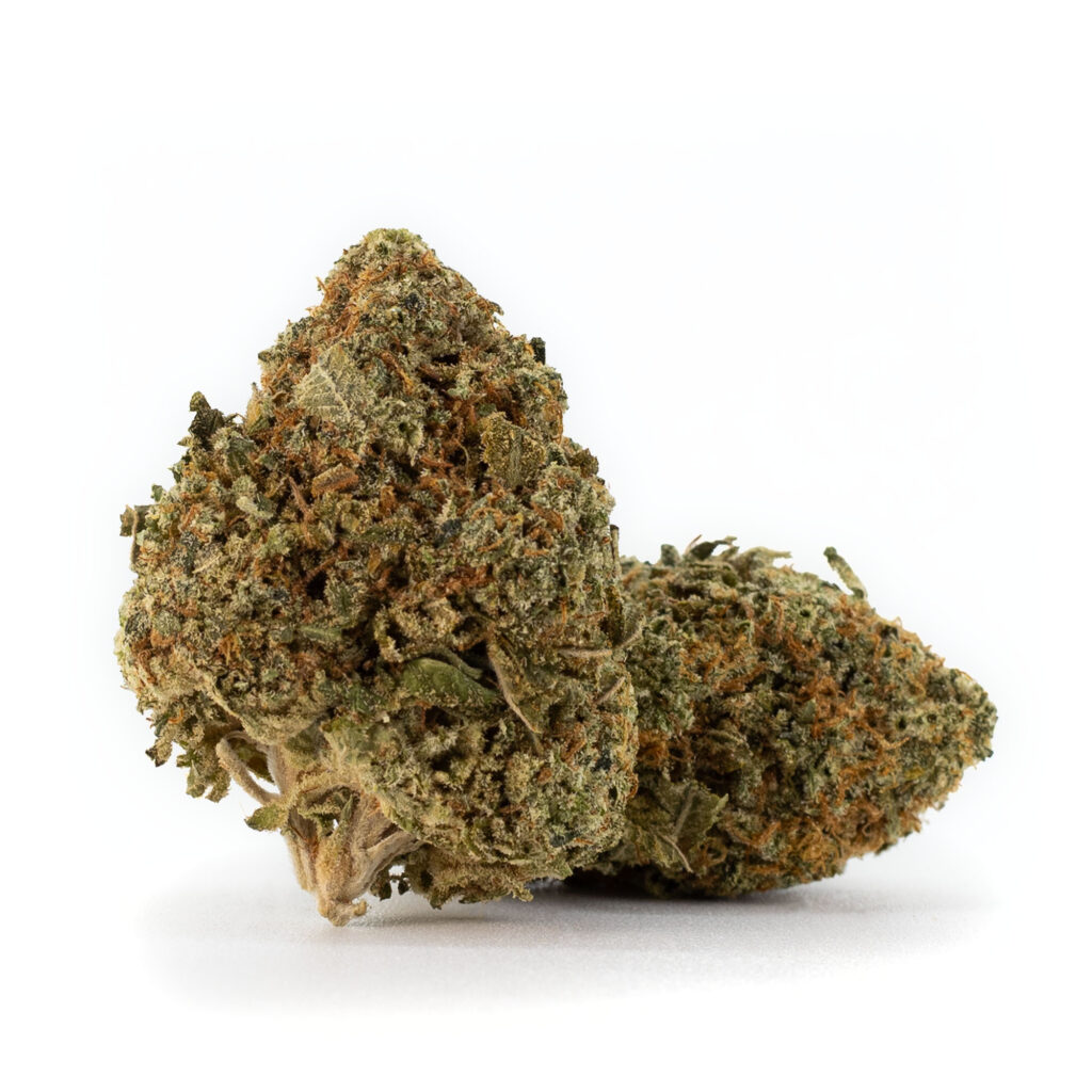 killa-gorilla-12-10-23-buds