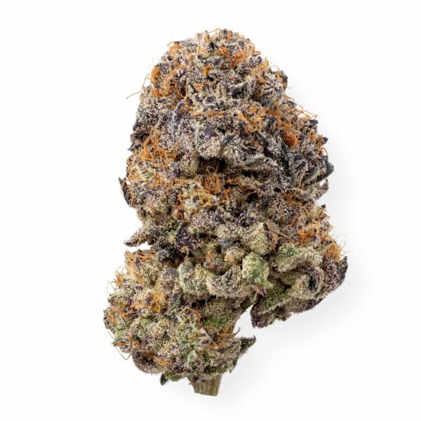 Hush: Caked Cactus - Hybrid (AAAA)