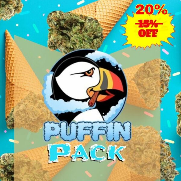 Summer Adventure: Puffin Pack