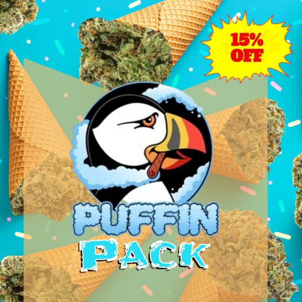 Summer Adventure: Puffin Pack