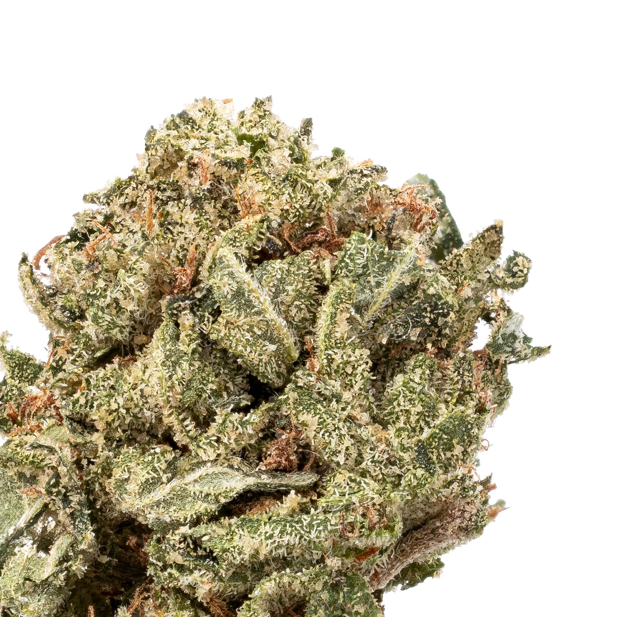 pink-kush-smalls-07-06-26-closeup