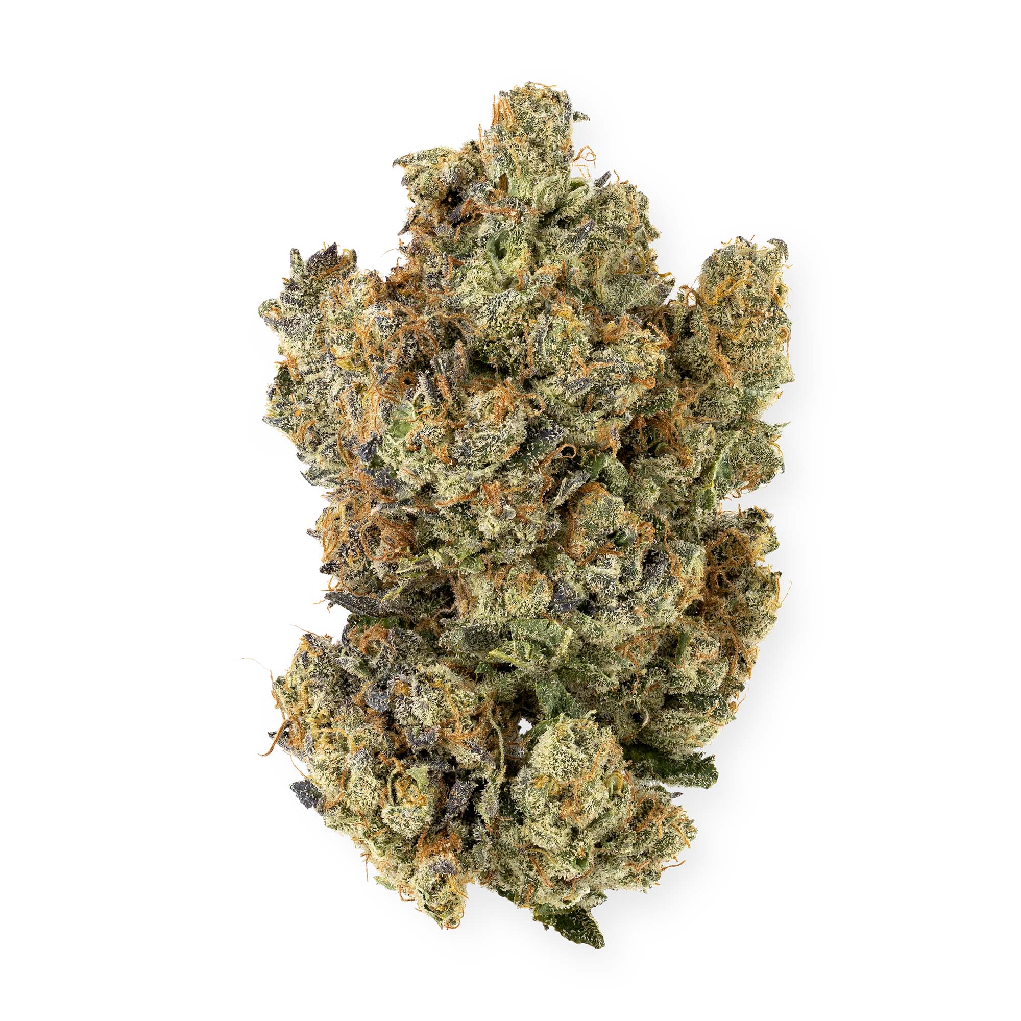 hush-vanilla-ice-01-14-25-bud