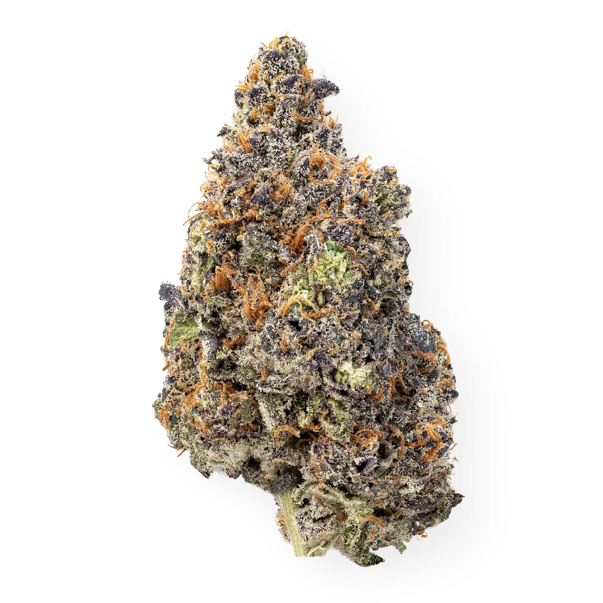 rick-james-11-02-25-bud