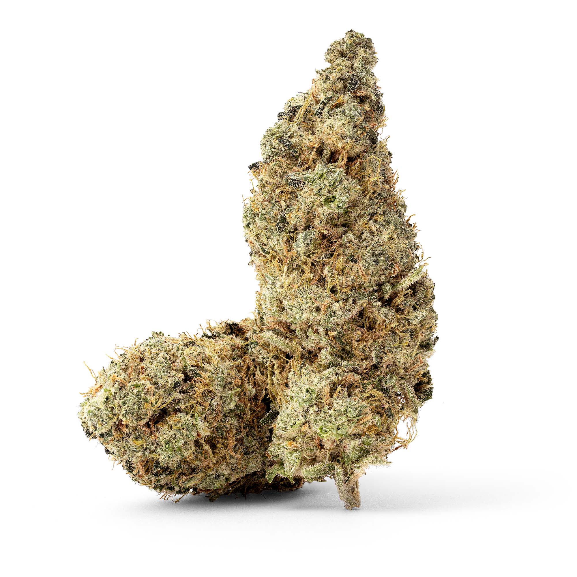 cherry-garcia-11-24-25-buds