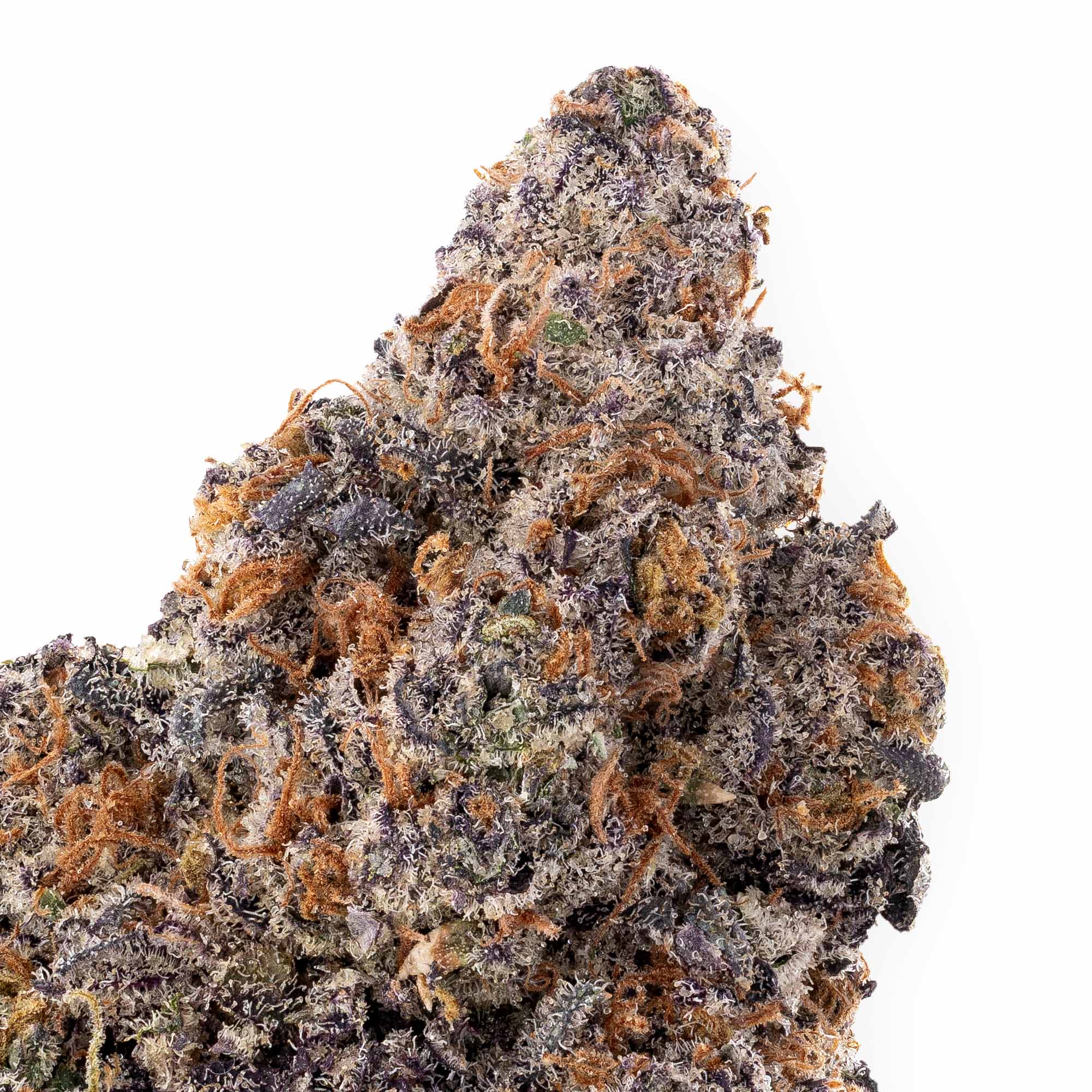 rainbow-pie-08-22-25-closeup-1