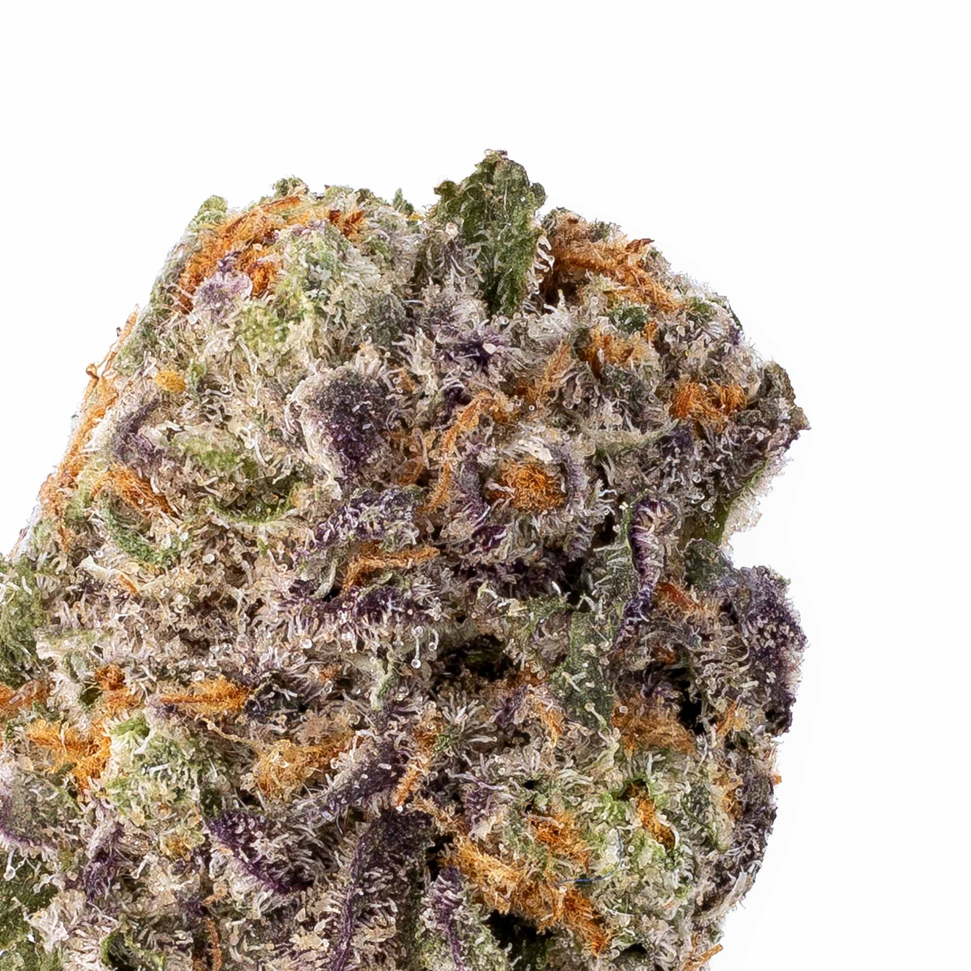 jealousy-smalls-09-11-25-closeup-1