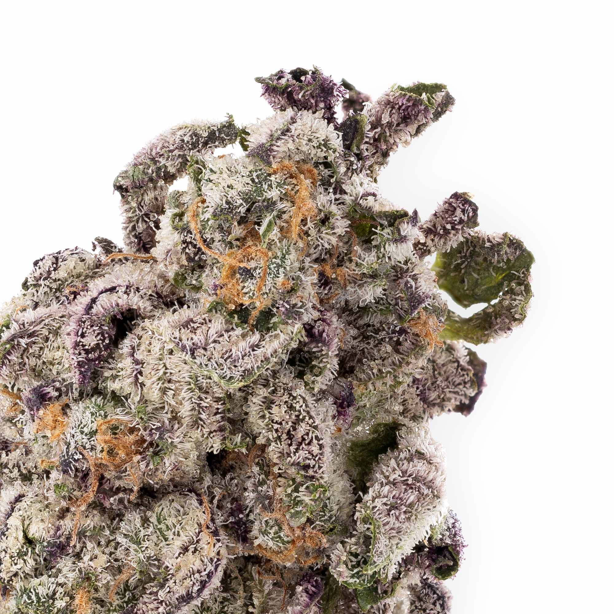 rainbow-pie-smalls-08-22-25-closeup