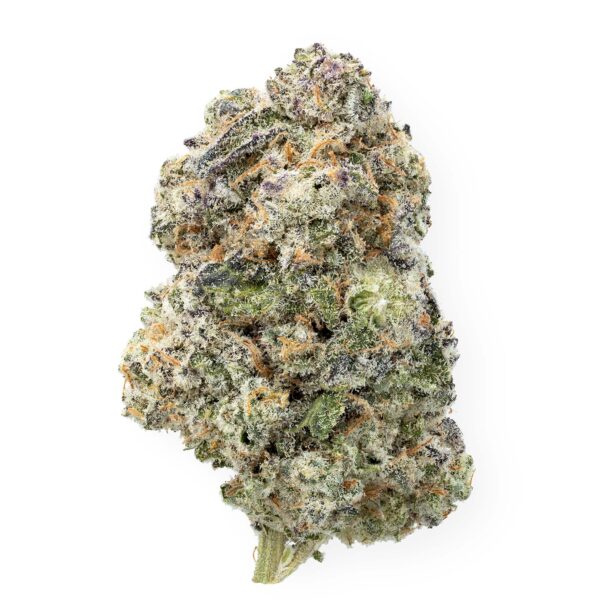 Hush: MAC - Hybrid (AAAA)