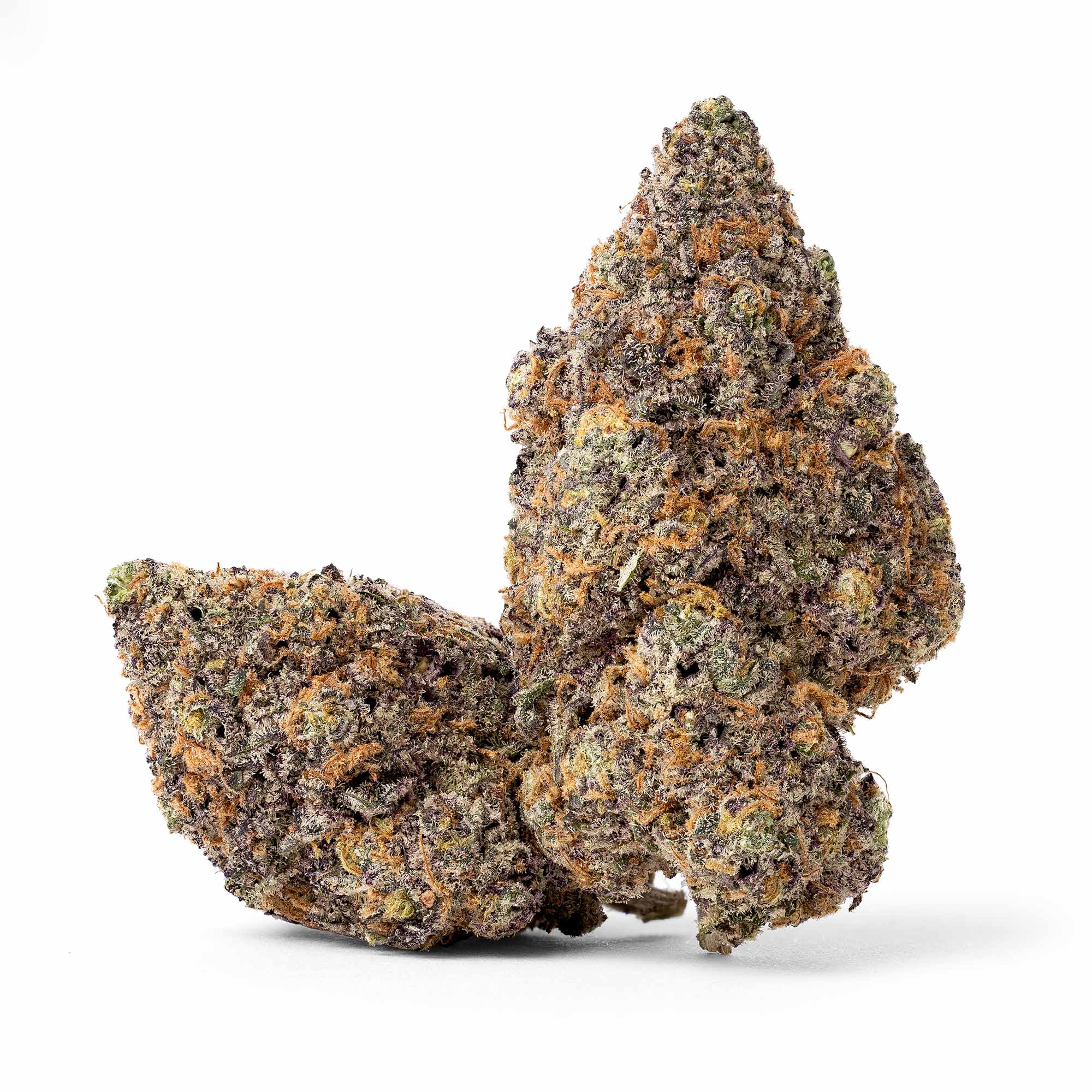 hindu-kush-11-24-25-buds