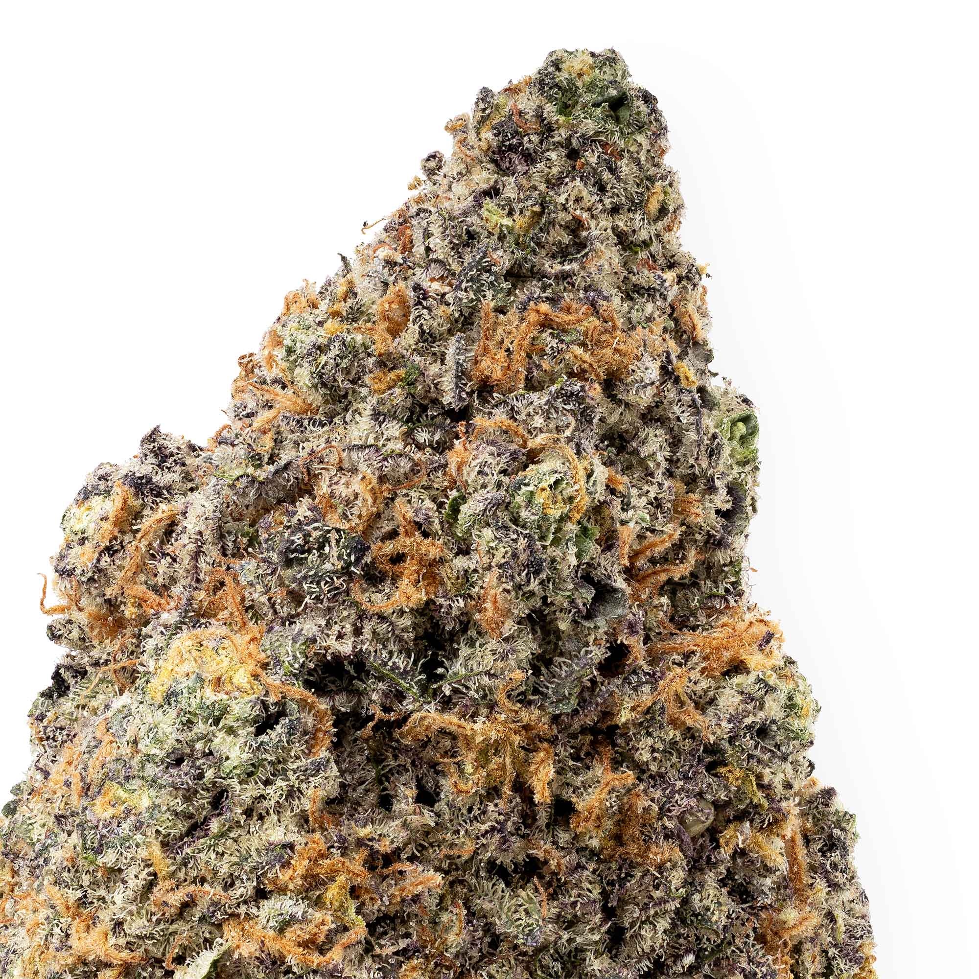 hindu-kush-11-24-25-closeup