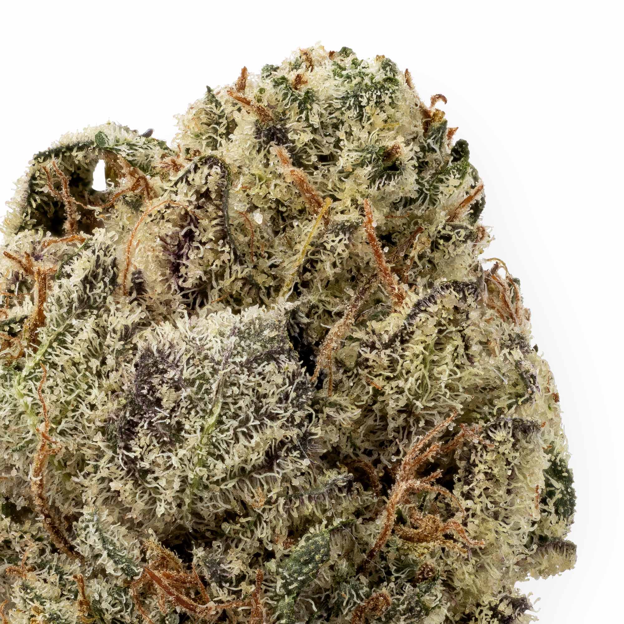 afghan-kush-smalls-01-08-26-closeup