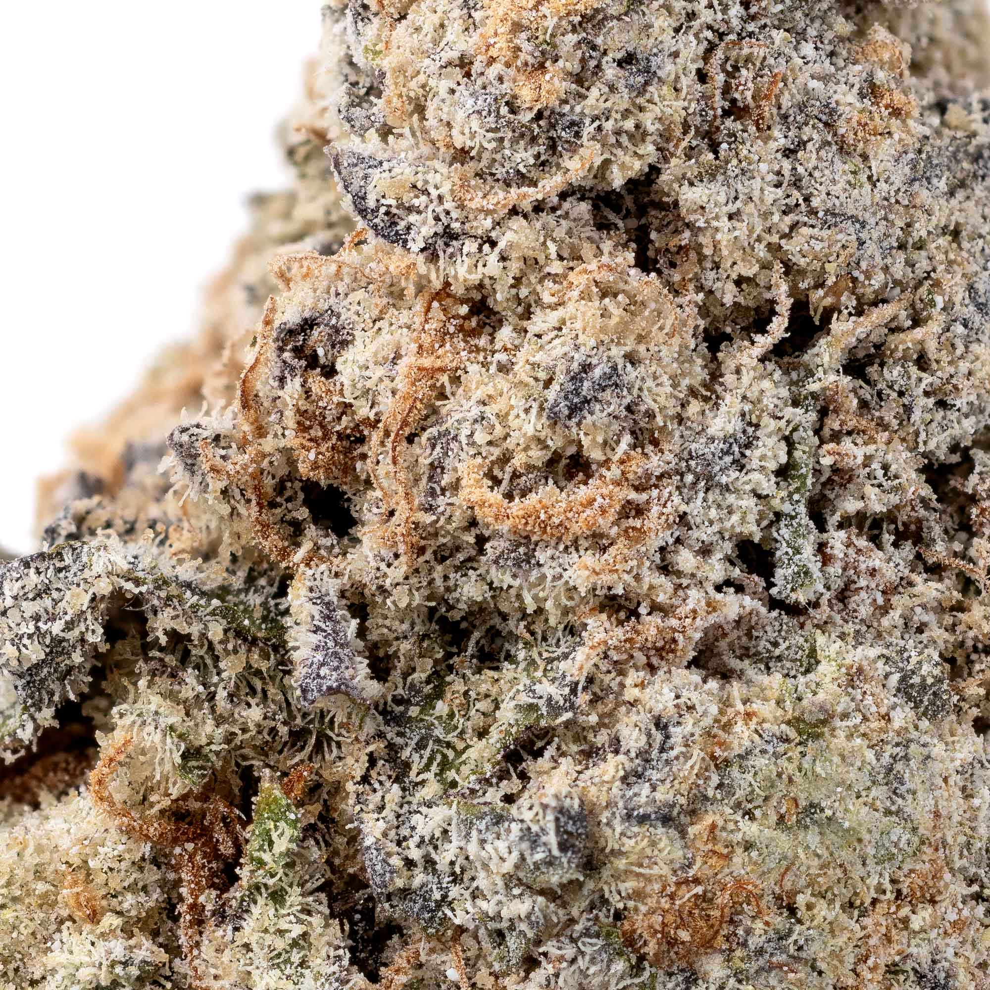 green-apple-01-08-26-macro