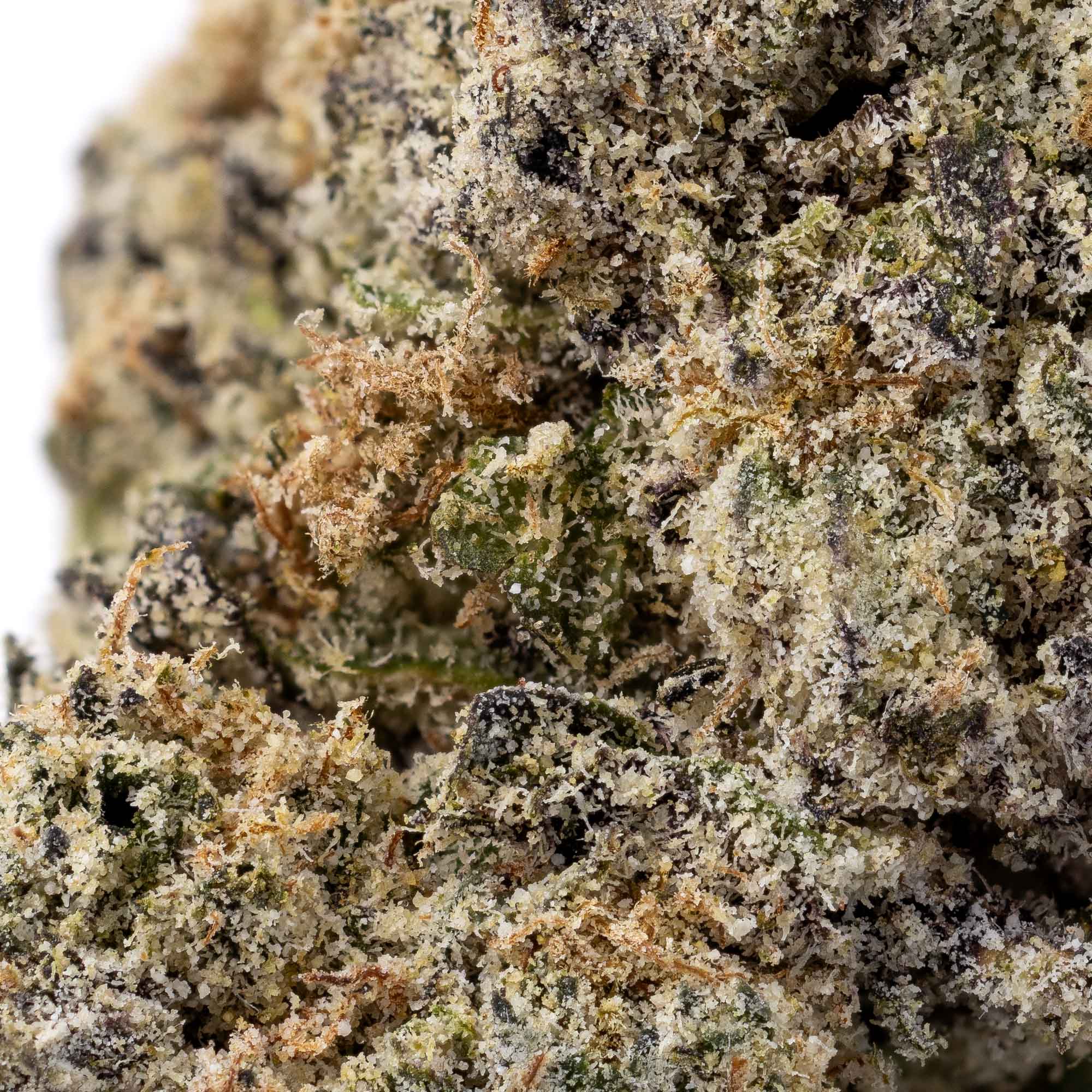 ninja-fruit-01-08-26-macro