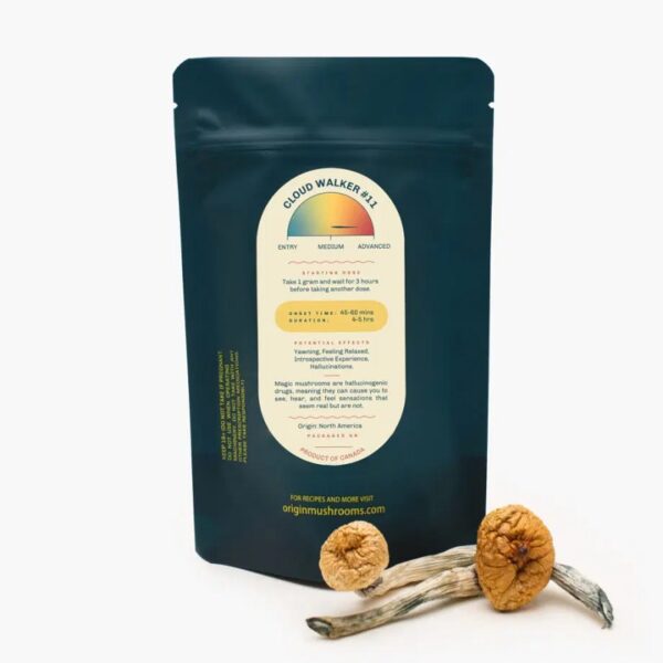 Origin: Cloud Walker #11