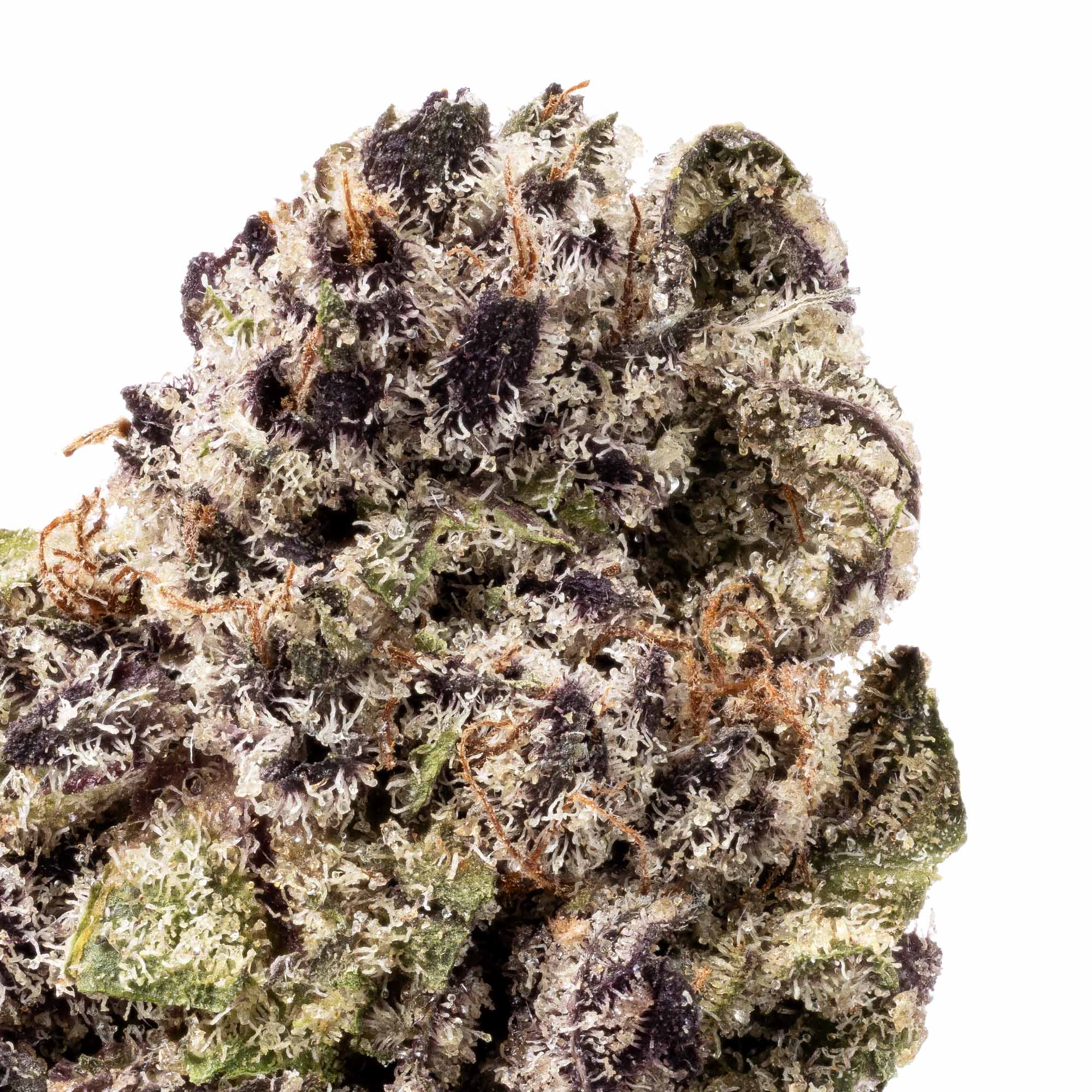 white-truffle-smalls-06-01-26-closeup
