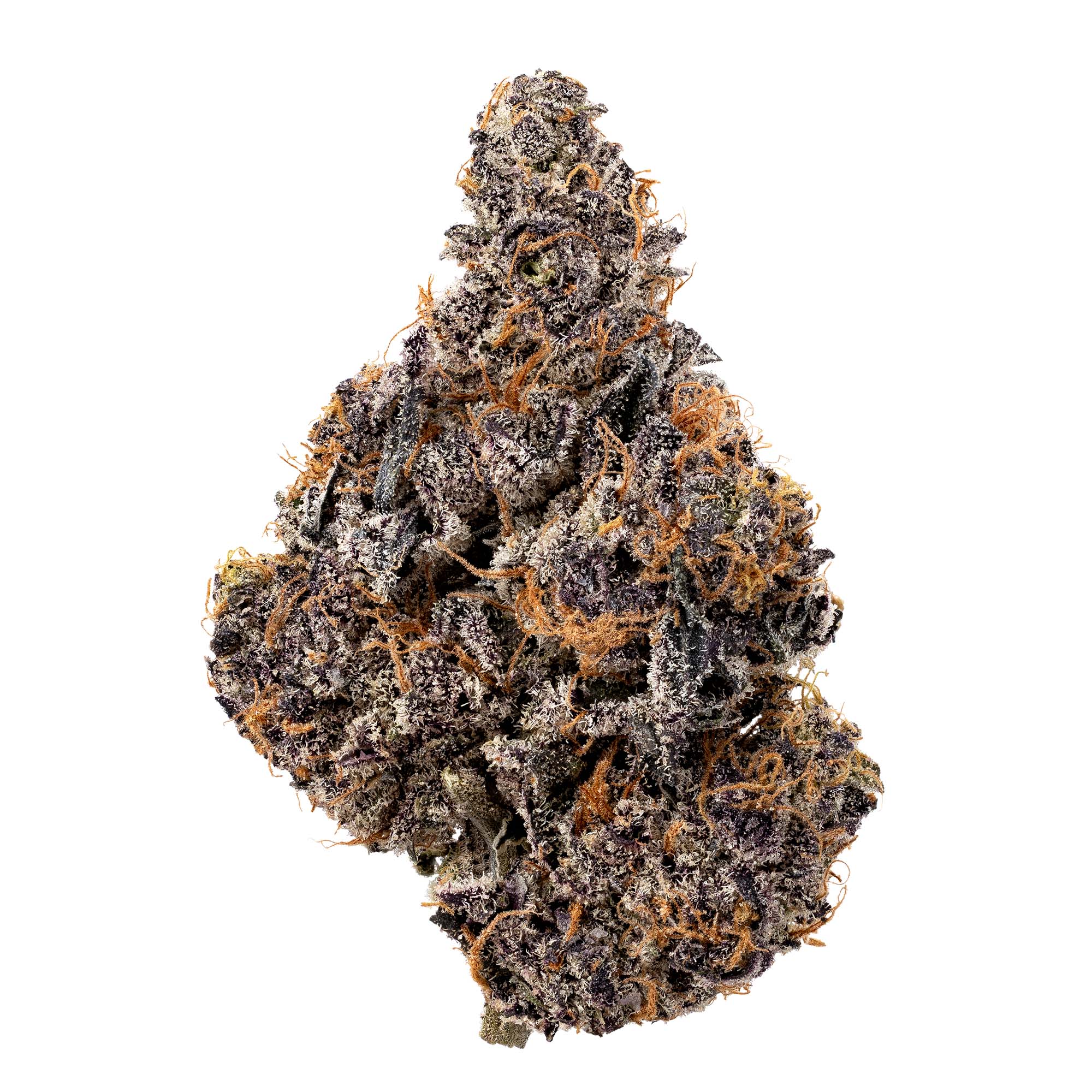 black-patronus-05-05-26-bud