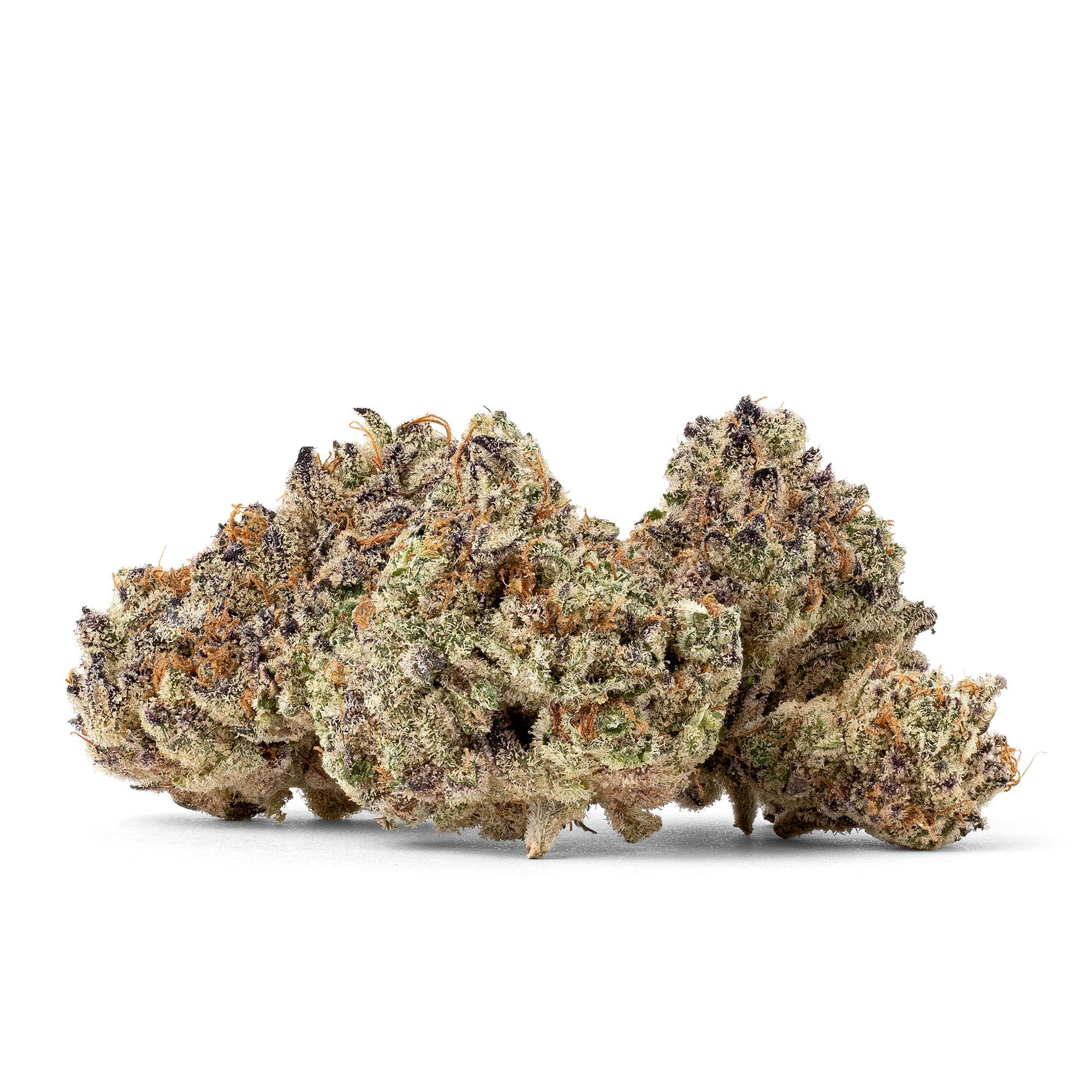 caked-cactus-smalls-05-05-26-buds