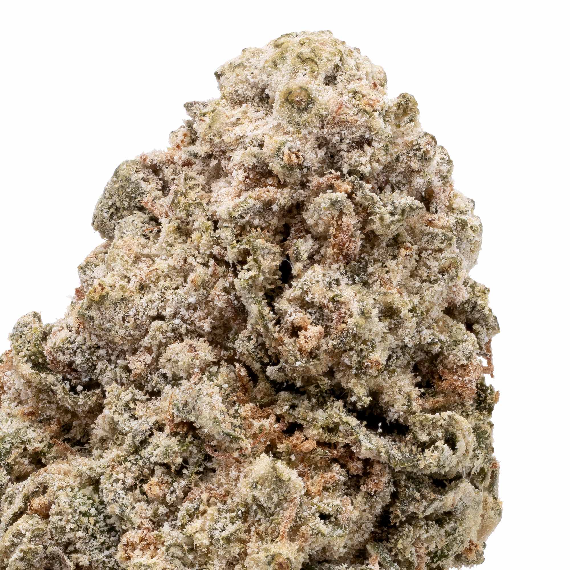 diesel-bfc-05-18-26-closeup