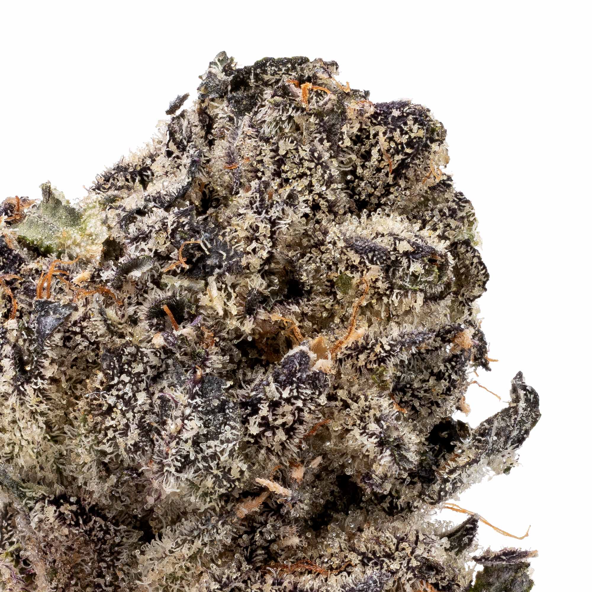 purple-dreams-smalls-05-05-26-closeup