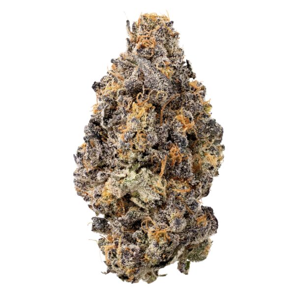 Hush: Banana Conda - Hybrid (AAAA)