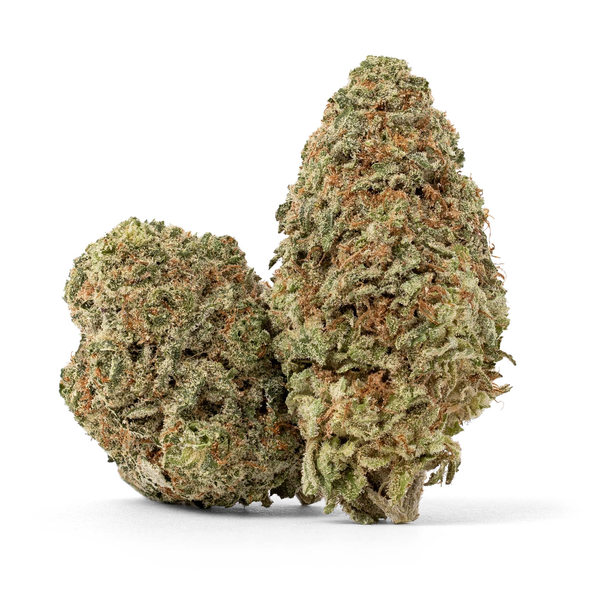 burmese-kush-x-florida-kush-06-01-26-buds