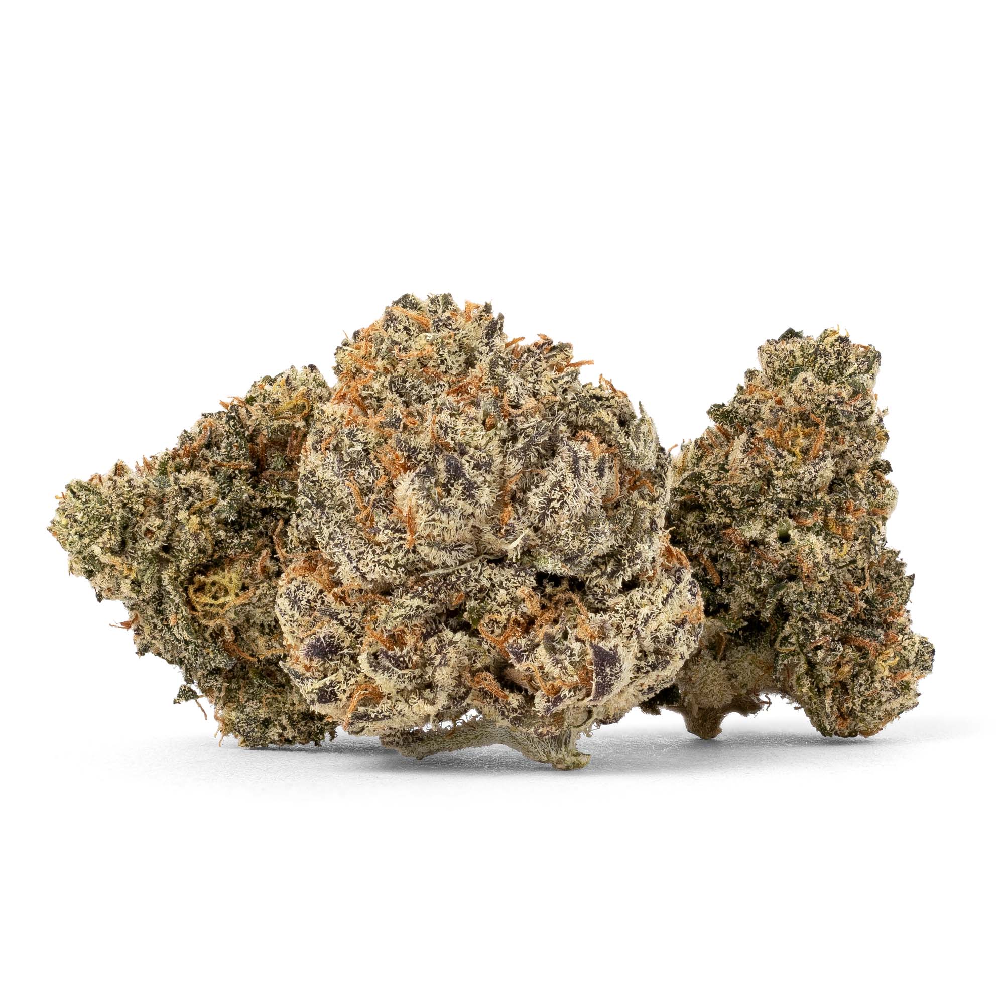 dosidos-smalls-06-01-26-buds