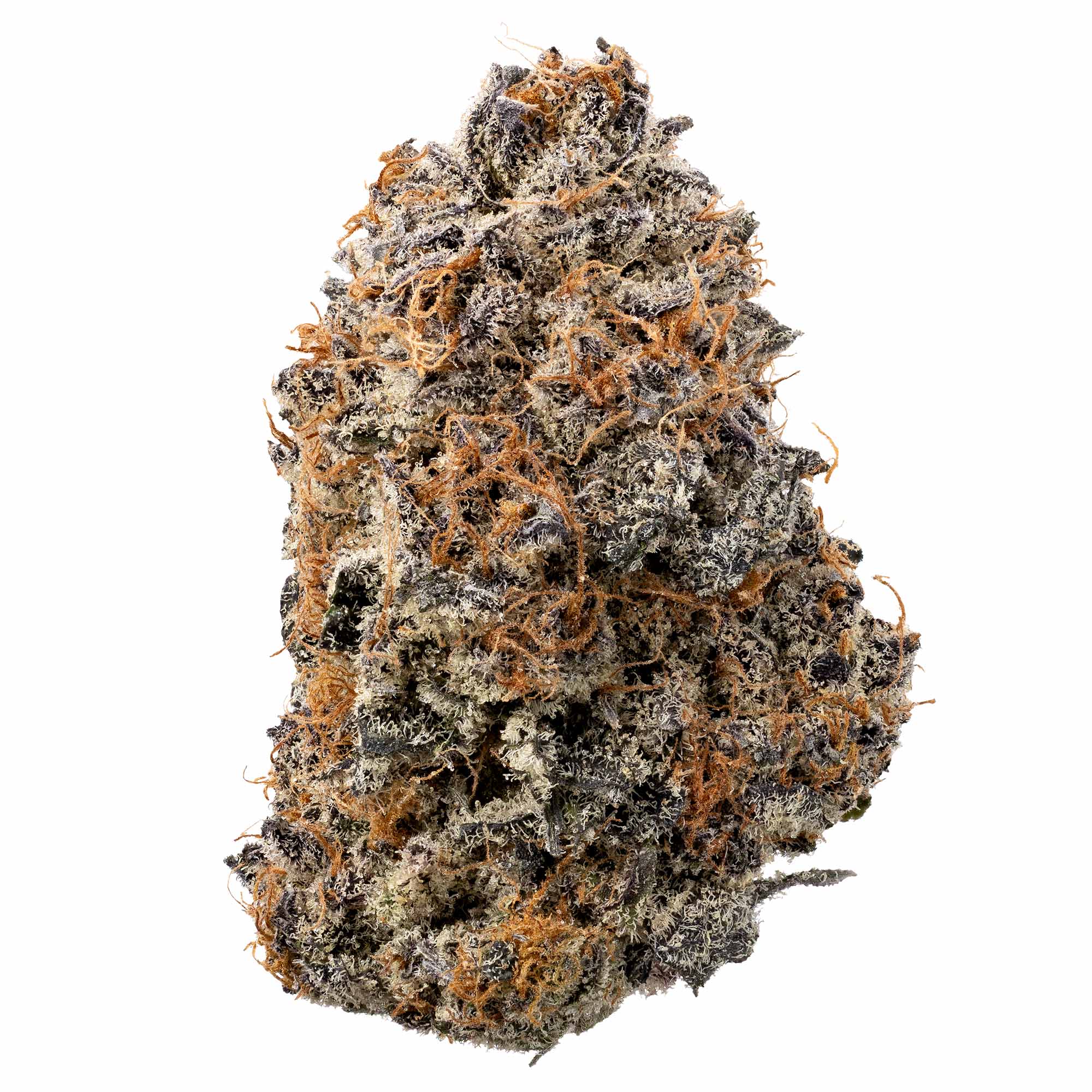 emergen-c-06-01-26-bud