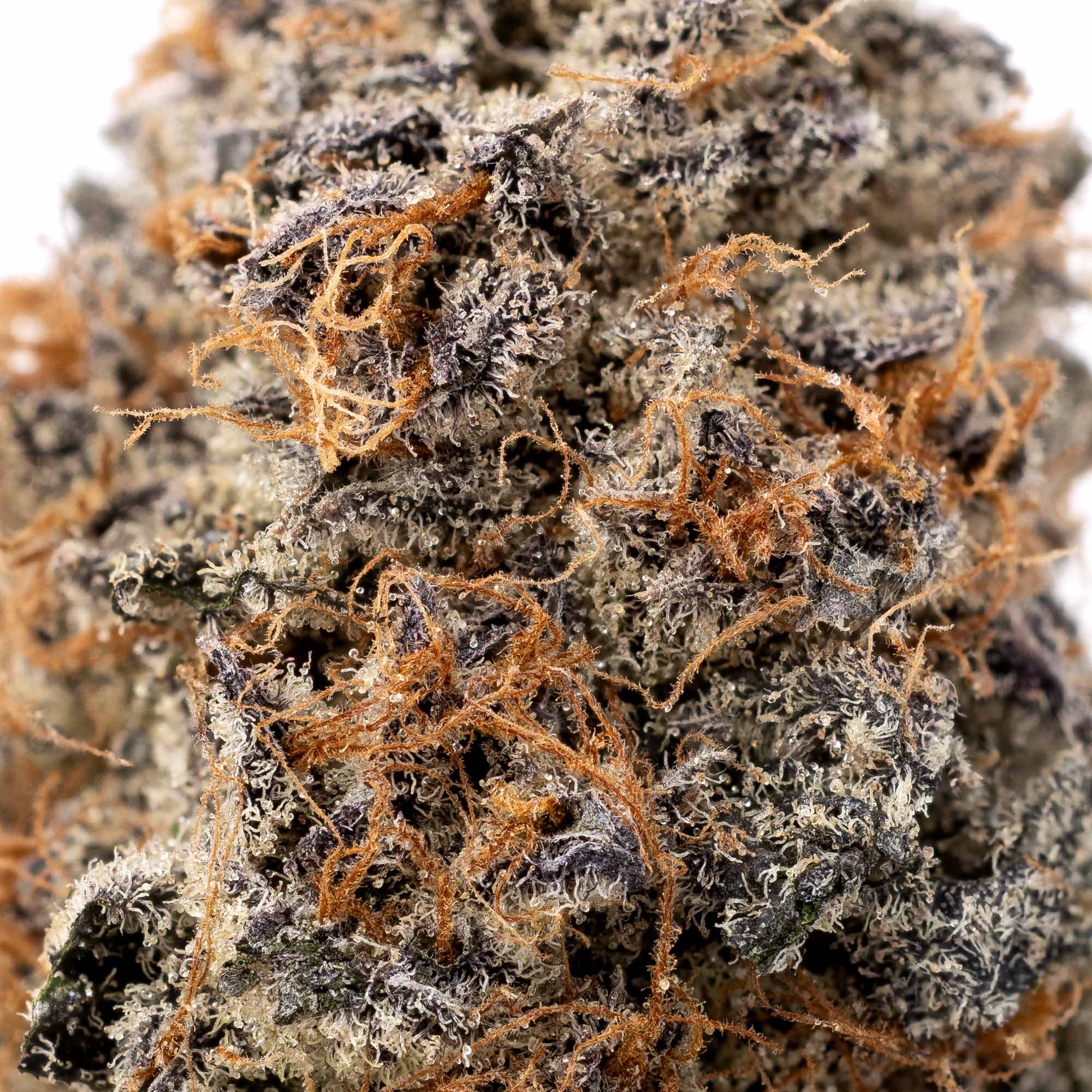 emergen-c-06-01-26-macro