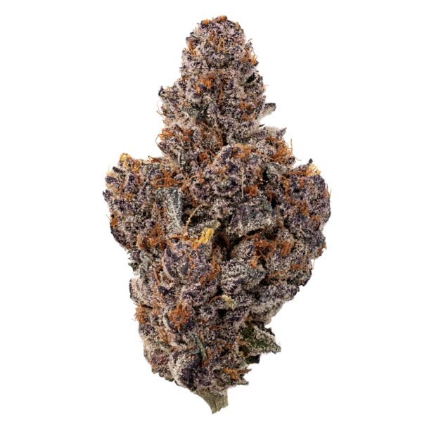 Hush: Halle Berry - Sativa (AAAA)