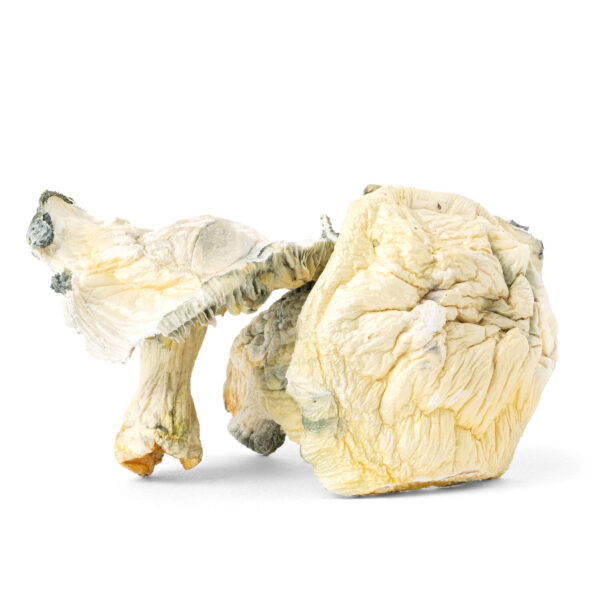 White Label: Jack Frost – Mushrooms