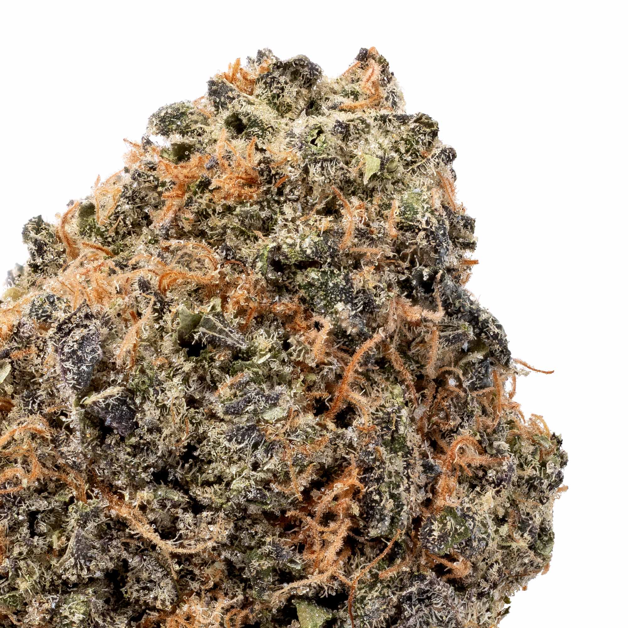 pk-crasher-06-01-26-closeup