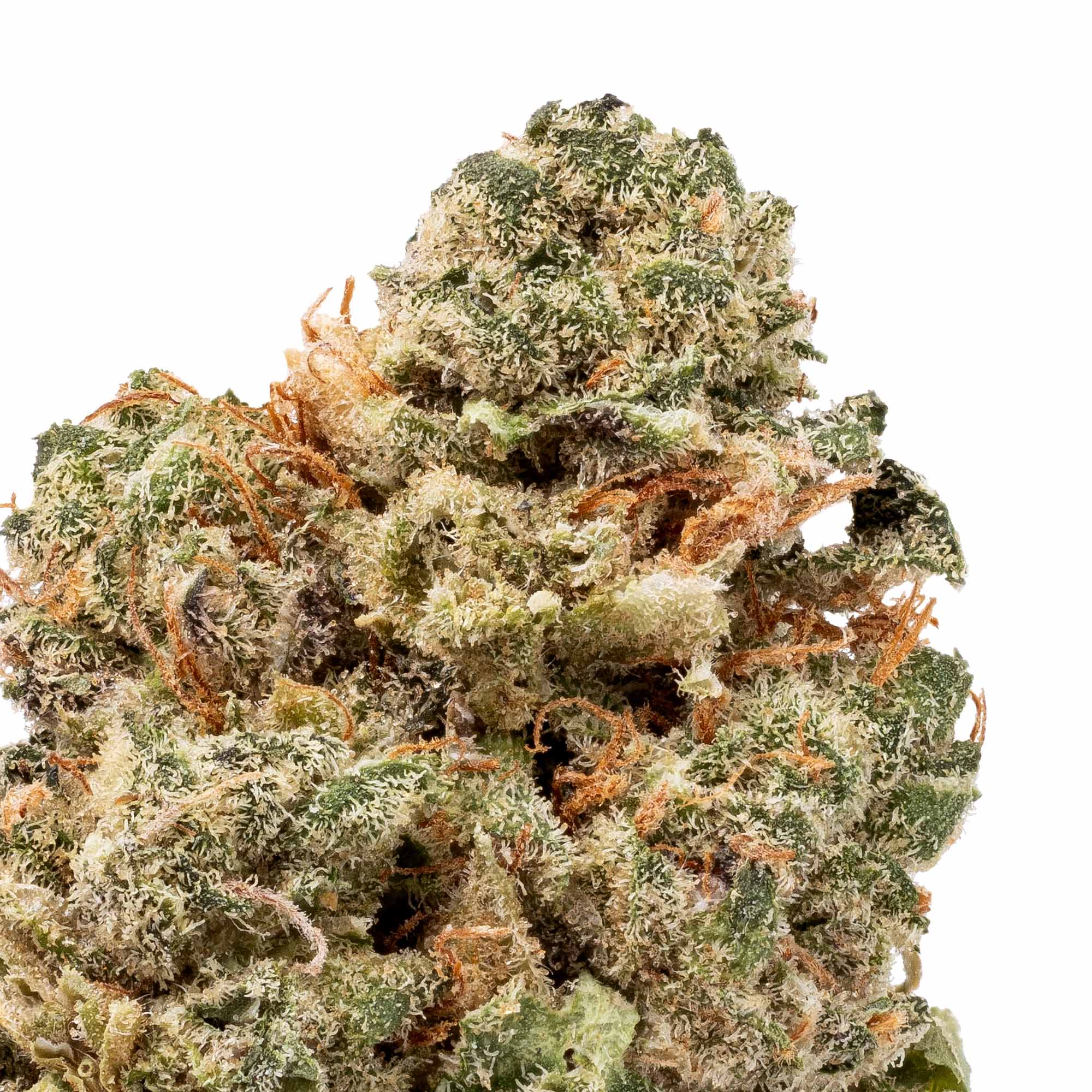 gelato-smalls-07-06-26-closeup