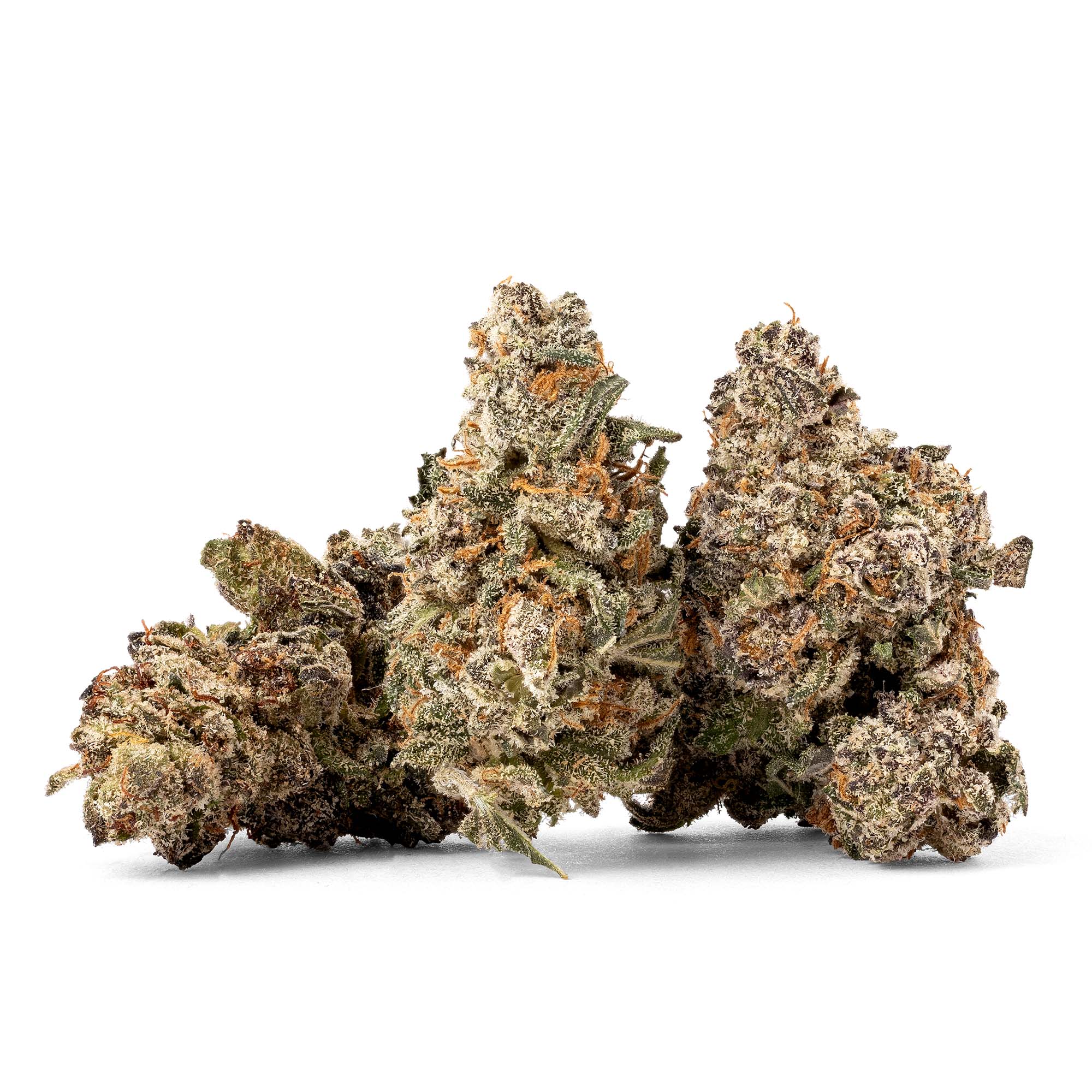 scooby-snacks-smalls-07-06-26-buds