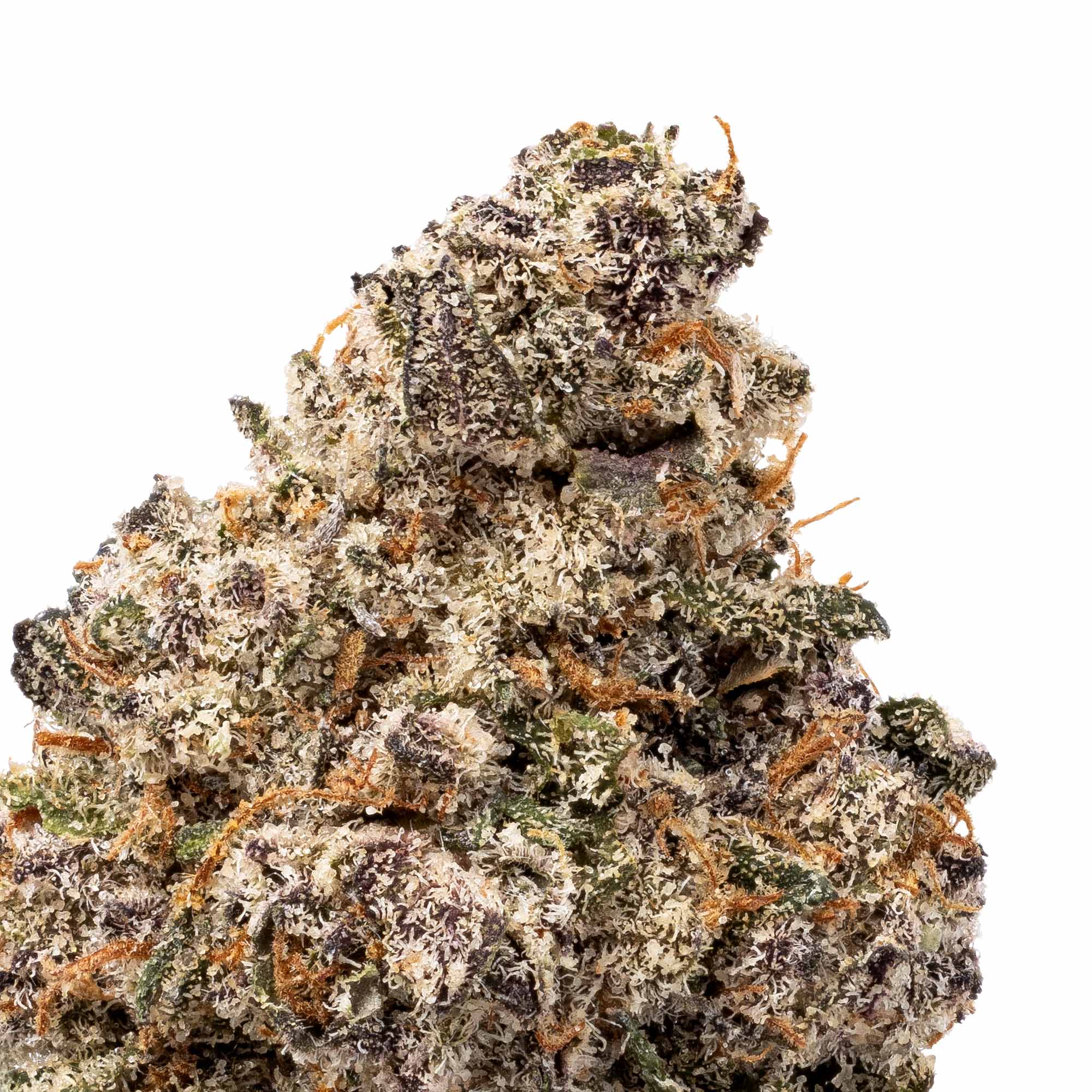 scooby-snacks-smalls-07-06-26-closeup