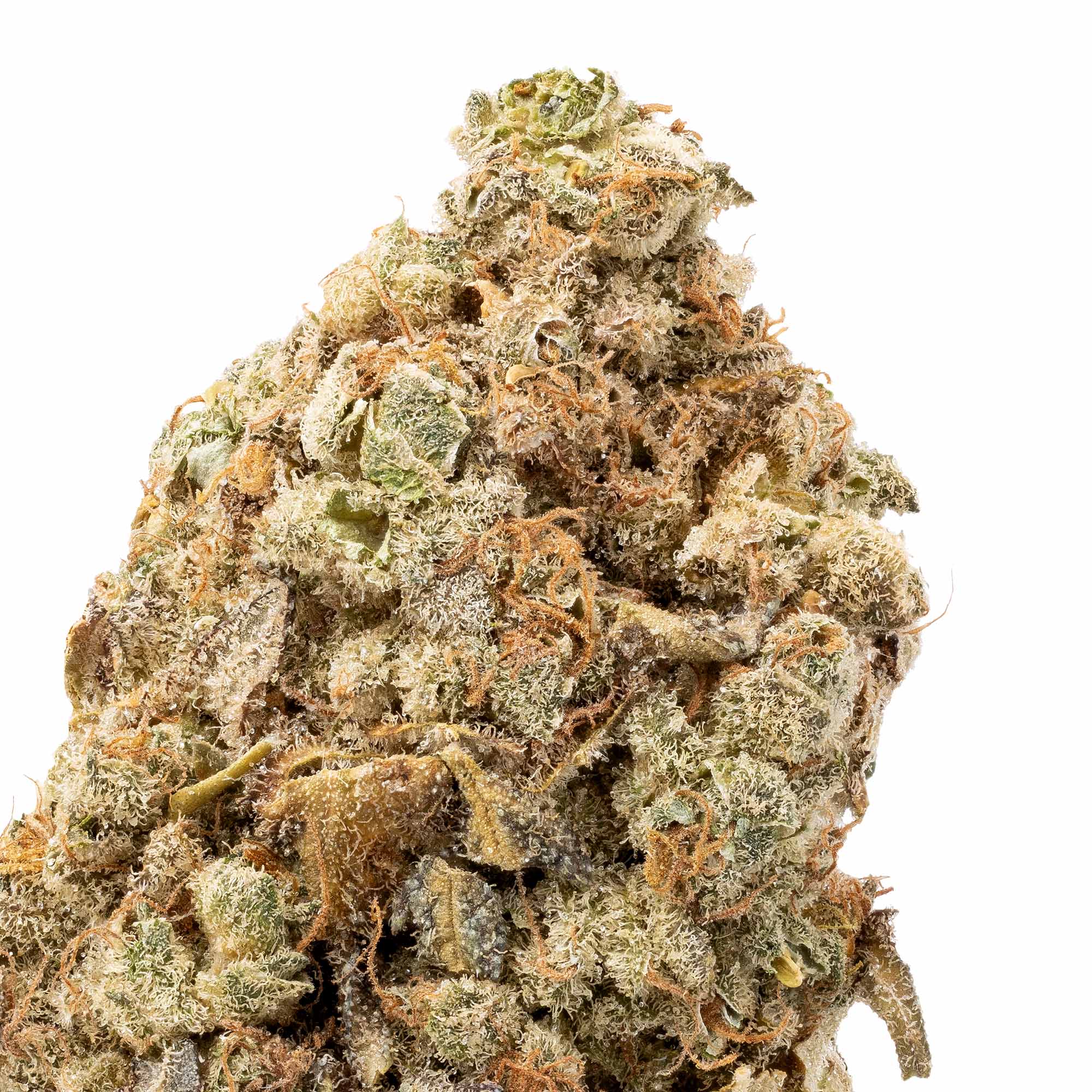 gsc-07-24-26-closeup