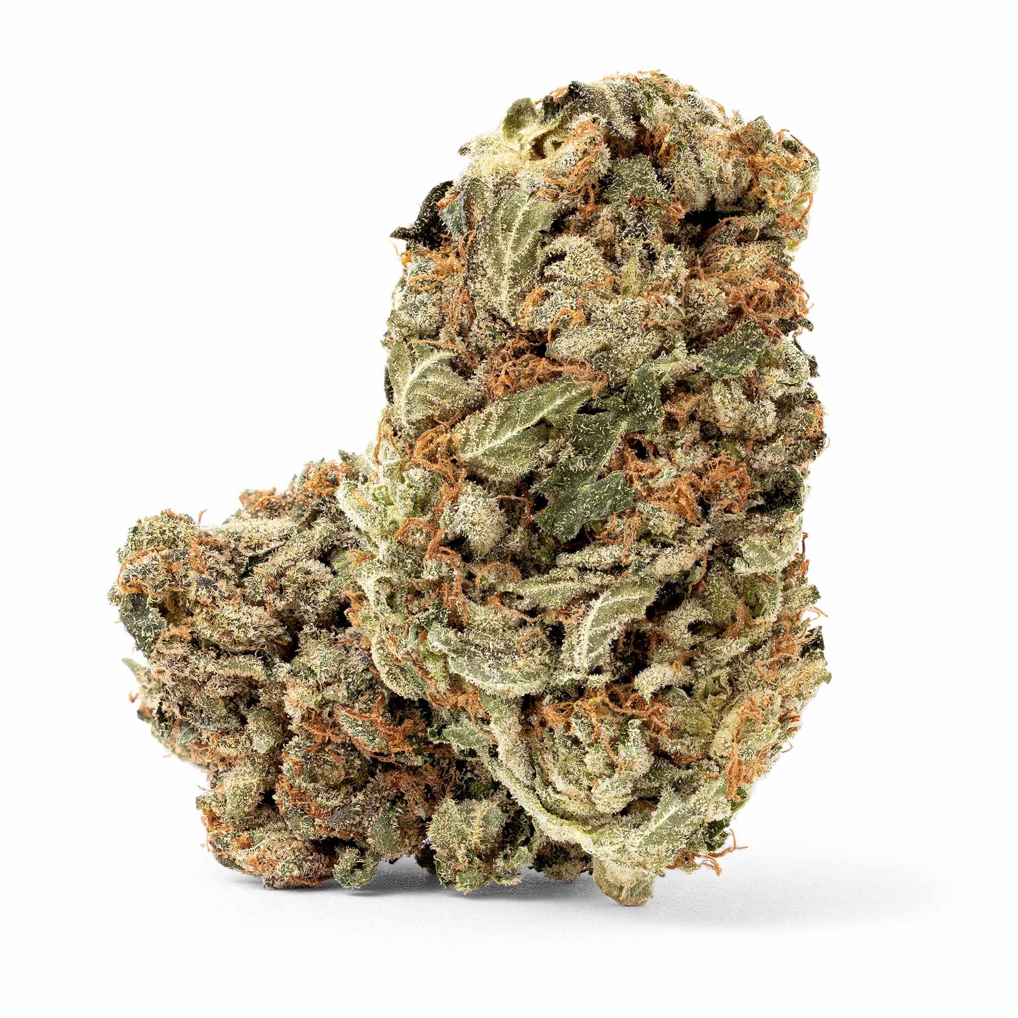 pink-bubba-07-24-26-buds