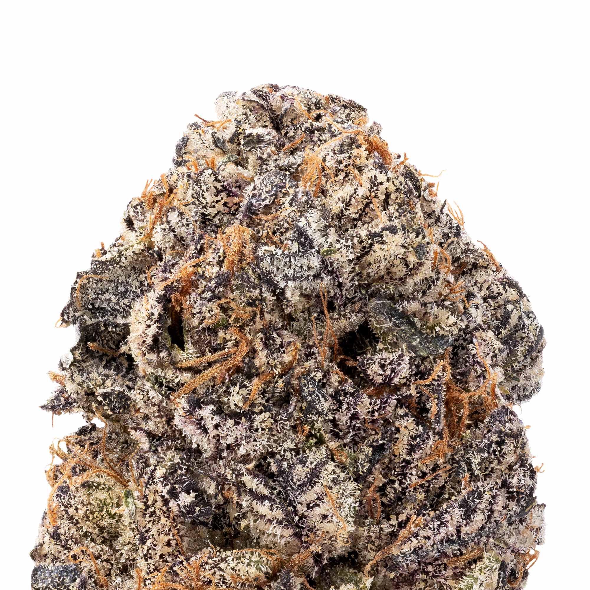 purple-pineapple-07-24-26-closeup