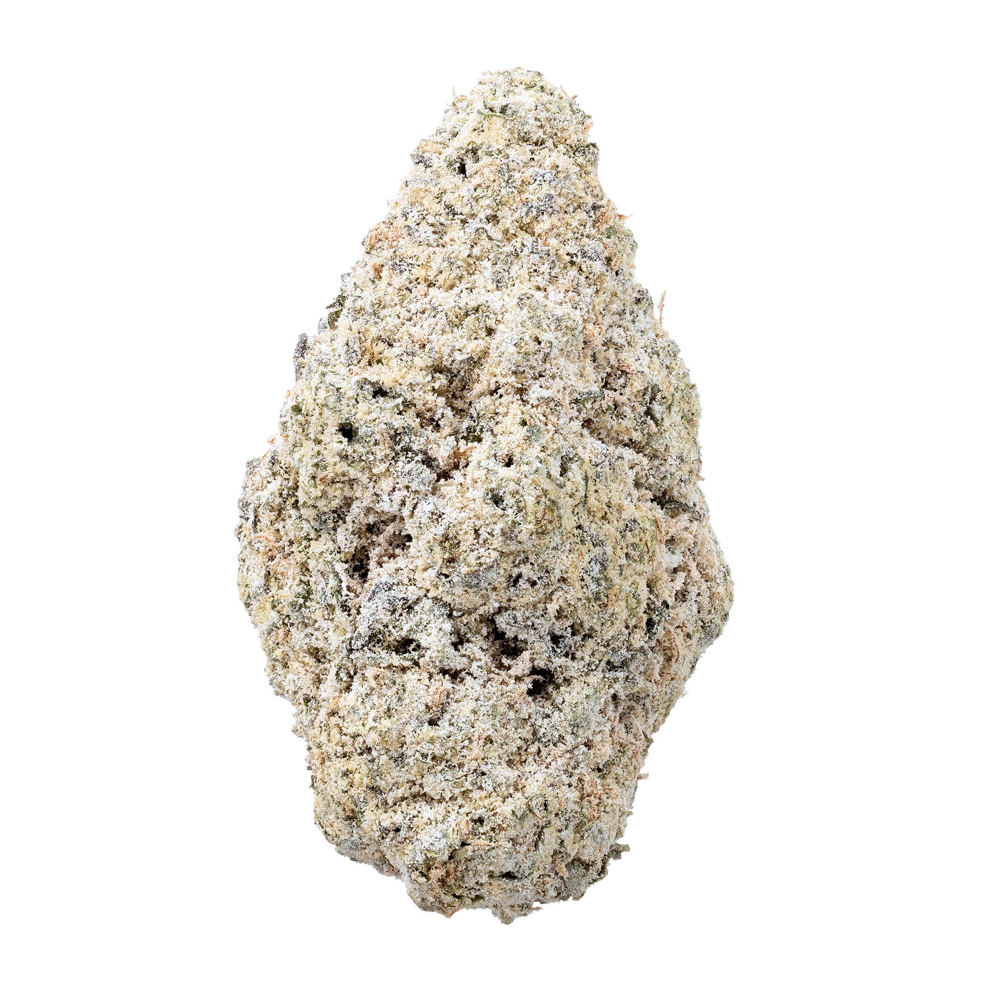 stardust-tropic-thunder-07-24-26-bud