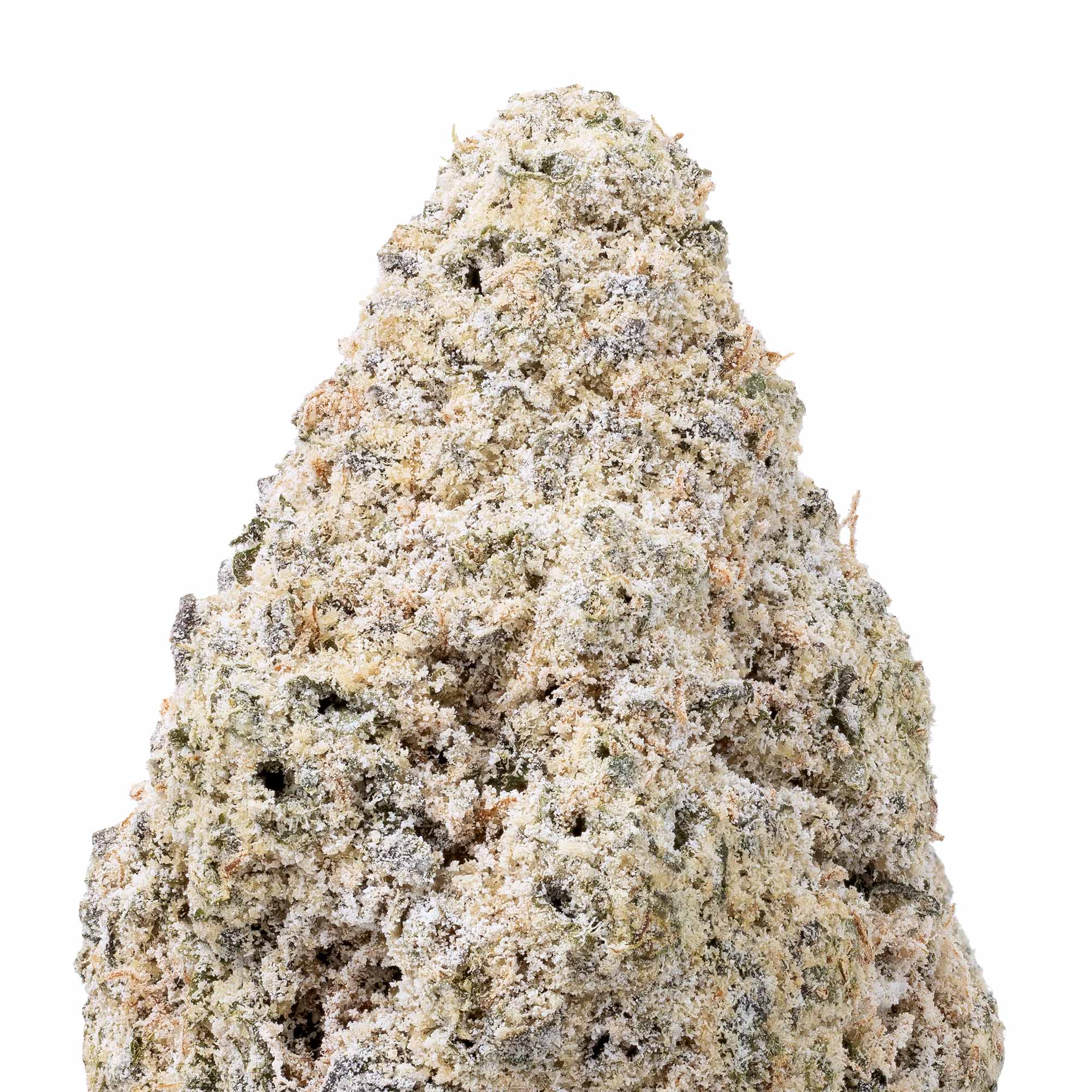 stardust-tropic-thunder-07-24-26-closeup